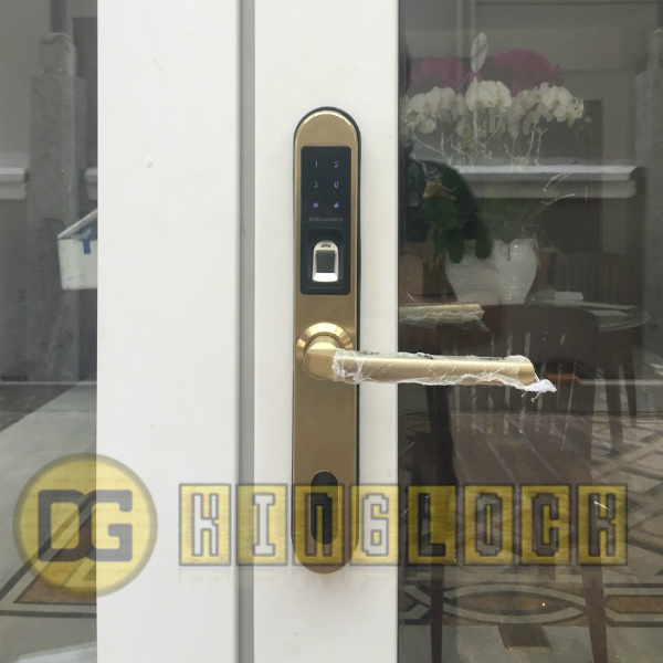 Khóa vân tay cửa sắt tốt nhất 2021