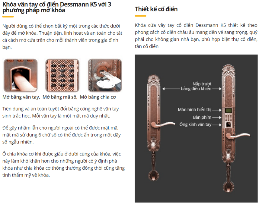 Khóa vân tay cổ điển Dessmann K5