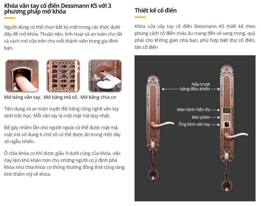 Khóa vân tay cổ điển Dessmann K5