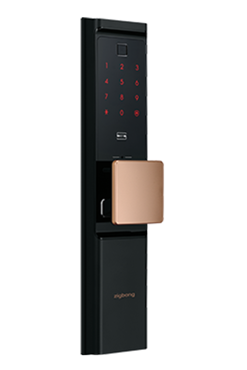 Khoá thông minh Samsung SHP-R80