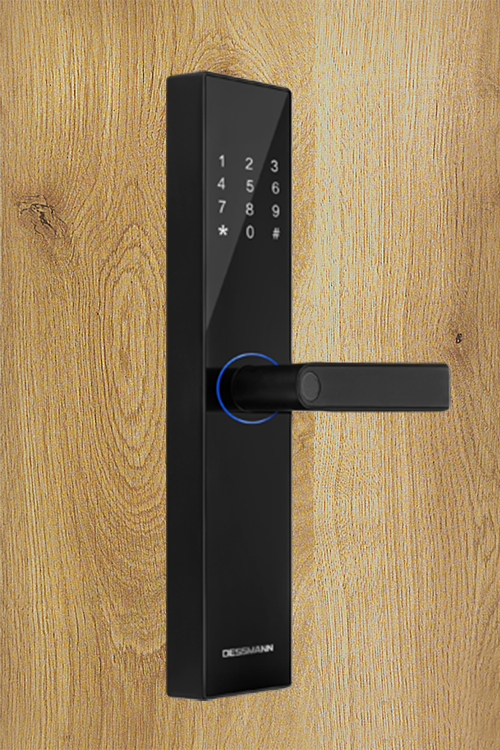 Khóa vân tay Dessmann A110