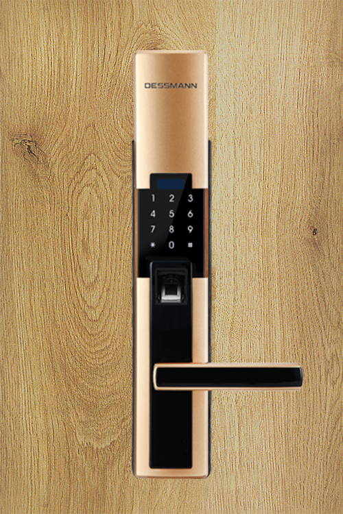 Khóa vân tay Dessmann S510-II